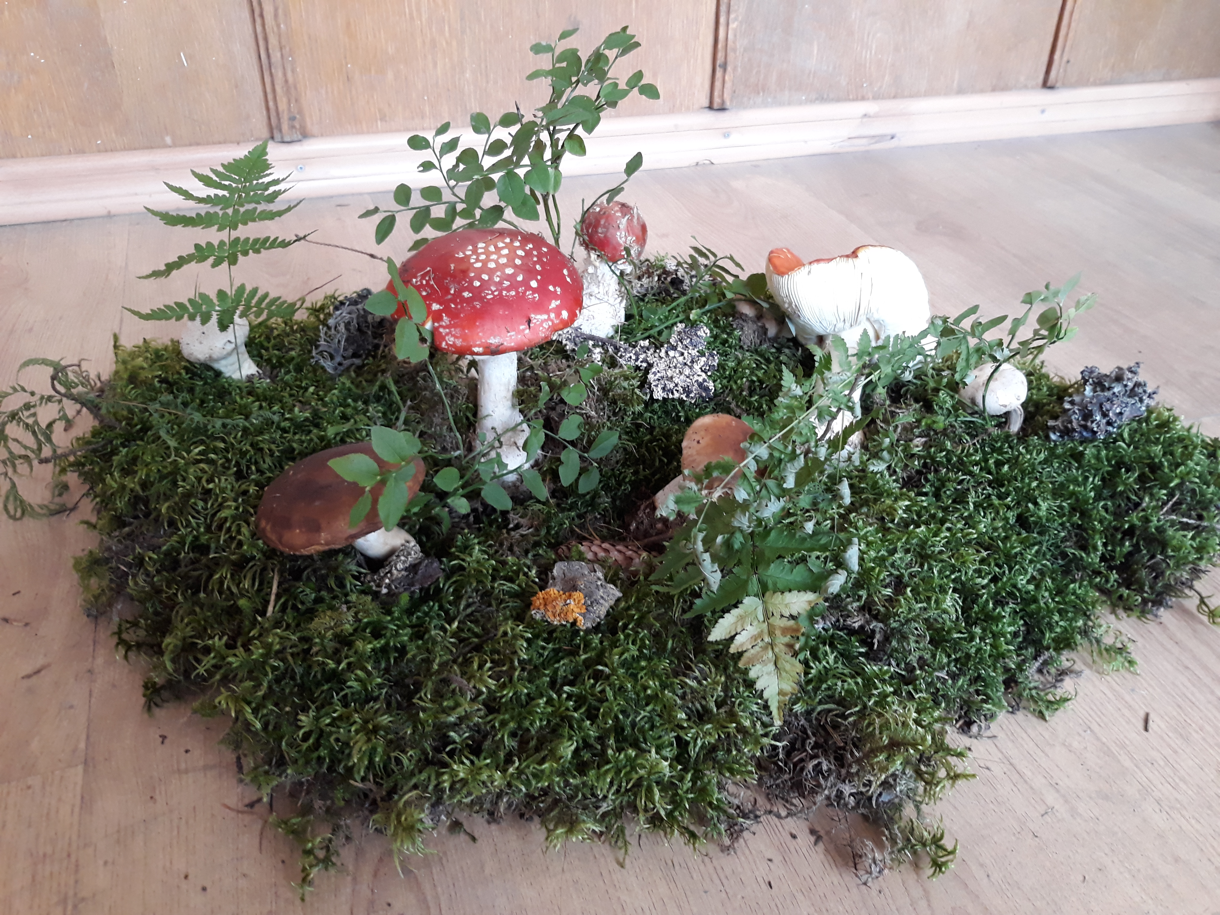 Tabăra micologică, Ediția a III-a, 20-23 septembrie 2018, Poiana Negri – Județul Suceava